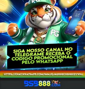 bsb888 international lisence 
